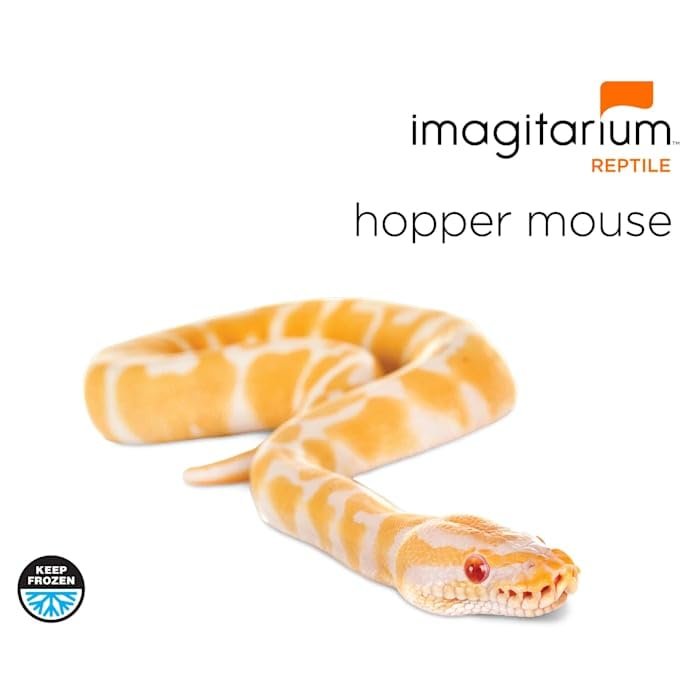 The Gourmet Rodent Frozen Hopper Mouse, Count of 10-L8