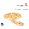 The Gourmet Rodent Frozen Hopper Mouse, Count of 10-L8 view 1