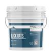 Earthborn Elements Quick Oats 1 Gallon, Bulk Size, Quick Breakfast, Whole Grain Oats view 1