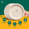 ECO SOUL 9 Inch Compostable Disposable Paper Plates [1000 Pack] Food Safe 100% Virgin Bagasse Pulp Heavy Duty Biodegradable Microwave Safe Large Round Dinner Plate for Party, Picnic & BBQ (Brown) view 2