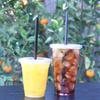 Miley Supply [50 Count] 20 oz. Clear Plastic Cups - 50 pcs view 3