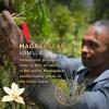 SAVA Madagascar Vanilla Extract  100% Pure Vanilla Extract from High-Quality Madagascar Vanilla Beans  No Sugar Added Gourmet Vanilla Extract  Baking Supplies (4 Oz) view 3