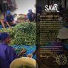 SAVA Madagascar Vanilla Extract  100% Pure Vanilla Extract from High-Quality Madagascar Vanilla Beans  No Sugar Added Gourmet Vanilla Extract  Baking Supplies (4 Oz) view 4