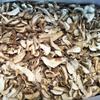 Boletus,cep,Boletus Luridus,Boletus Reticulatus,Boletus Taianus,Boletus Sylvestris,natural Boletus,Boletus Venturii,niuganjun,Natural Dried Mushroom White Boletus Porcini Slices Suillus (500grams) view 3