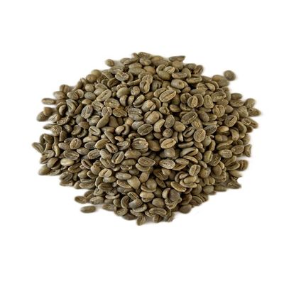 10 Lb, Single Origin Unroasted Green Coffee Beans, Specialty Grade From Single Nicaraguan Estate, Direct Trade (Parainema Varietal)