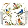150 Bird Cocktail Beverage Napkins 3 Ply Bar Square Disposable Party Napkins Dessert Coffee Drink Napkins Guest Paper Hand Towels for Bathroom Wedding Tea Party Table Decoupage Napkins view 1