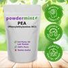 powdermint Phenylethylamine Supplement (250 Grams) Phenethylamine HCL Form view 2