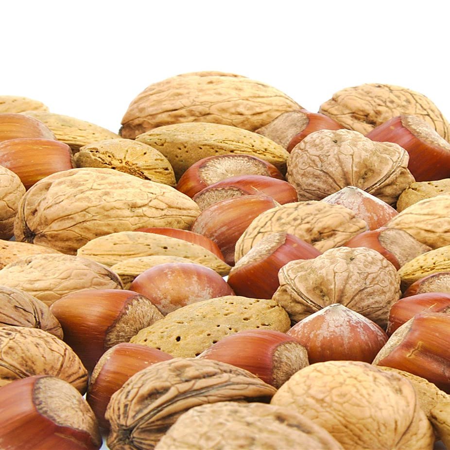 Anna and Sarah Premium Mixed Nuts in Shell, California Jumbo Chandler Walnuts, Extra Large Pecans, California Almonds, Large Oregon Hazelnuts (NO BRAZIL NUT), 6 Lbs