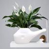 2activelife Lightweight Neti Pot White, Durable Plastic Neti Pot for Nasal Cleansing with 5 Sachets Neti Salt + 1 Cleaning Brush view 3