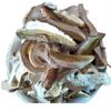 Boletus,cep,Boletus Luridus,Boletus Reticulatus,Boletus Taianus,Boletus Sylvestris,natural Boletus,Boletus Venturii,niuganjun,Natural Dried Mushroom White Boletus Porcini Slices Suillus (500grams) view 1
