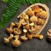 Dried Agaricus Blazei,Agaricus Blazei Murr,himematsutake Mushroom,Agaricus Subrufescens,Agaricus Blazei Murill,ganjisongrong,Almond Mushroom (1000grams) view 4