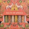 eat.art Salts of Africa Blend Collection | Sampler Spice Gift Set view 2