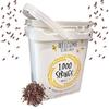 1000 Springs Mill - Organic Purple Barley 25lb Bulk Bucket | Used for Cereals, Salads, Whole Wheat Bread, Fresh Barley Flour, Sprouting Seeds, and more | Bulk Dried Grain view 1