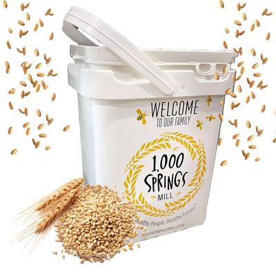 1000 SPRINGS MILL - Organic Hard Red Spring Wheat Berries 25lb Bulk Bucket - Used for Organic Flours, Cereals, Salads, and Whole Wheat Breads - Organic Sprouting Seeds - Bulk Dried Grain