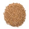 1000 SPRINGS MILL - Organic Hard Red Spring Wheat Berries 25lb Bulk Bucket - Used for Organic Flours, Cereals, Salads, and Whole Wheat Breads - Organic Sprouting Seeds - Bulk Dried Grain view 4