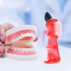 Beavorty 4pcs Double- Cleaning Brushes Portable Small Toothbrush for Home Use Versatile and Smooth Design view 2