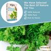 Imtenan Natural Drink Herbal Parsley And Celery Herbal Tea Bags Herbals Herbs Herb Non Gmo No Additives No Artificial Coloring Kosher Halal (18 Bag)       view 4