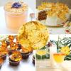 JTEDZI Dried Pineapple for Cocktail Garnish, Dry Dehydrated Pineapple 200g/2x3.52oz, No Sugar Added & No Additives Fruit Tea (36 to 40 Slices) view 2