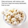 Dried white lotus seed 10.58 oz Hollow dried lotus seed 300g view 3