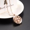 BIAIHQIE Essential Oil Perfume Diffuser Lockets Clip Plating Free 12 Pads view 2