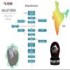 Lost Empire Herbs Himalayan Shilajit Resin - 10 Grams view 3