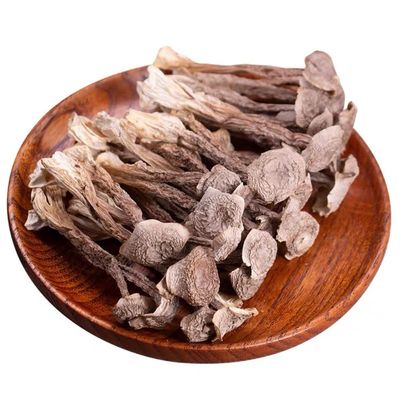 Lyophyllum Decastes,Fried Chicken Mushroom,Pilose Antler Mushroom,Velvet Antler Bacteria,Luronggu,500 Grams Bulk Mushroom.