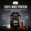 Animal 100% Whey Protein Powder  Whey Blend for Pre Workout or Post Workout, Recovery, or an Anytime Low Sugar Protein Boost Meal Replacement with BCAA Branched Chain Amino Acids  Chocolate, 4 lb view 2