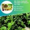 Alattar Natural Drink Herbal Green Tea Ginger & Cinnamon Tea Bags Herbals Herb Herbs Non Gmo No Caffeine No Additives No Artificial Coloring Kosher Halal (20 Bag)        view 4