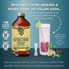 Portland Syrups Meyer Lemon Syrup - Premium Beverage Concentrate for Delicious Cocktails, Tea, Soda, Coffee Drinks, Baking, and More - 12 oz with 12 Servings (Pack of 2) view 3