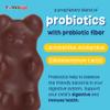 YUM-V'S Probiotic & Prebiotic Kids Sugar-Free Chocolate Chewable Fiber Supplement for Digestive Health (Toddlers, Kids & Teens)  60 Chewables (2-Pack) view 3