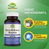 ALA Supplement - R-Alpha Lipoic Acid 300mg & Acetyl L-carnitine 1000mg - Nerve & Energy Booster for Nerve, Cardiovascular, Cognitive Function & Antioxidant Support, 60 Capsules, 30 Days Supply view 3