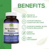 ALA Supplement - R-Alpha Lipoic Acid 300mg & Acetyl L-carnitine 1000mg - Nerve & Energy Booster for Nerve, Cardiovascular, Cognitive Function & Antioxidant Support, 60 Capsules, 30 Days Supply view 4