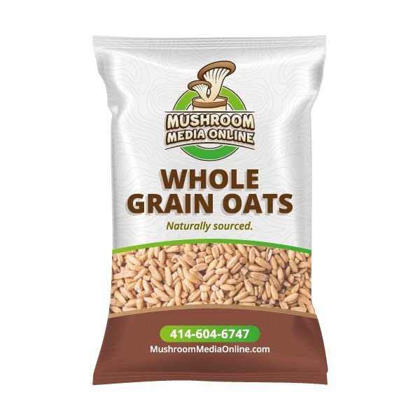 Mushroom Media Online10# Whole Grain Oats