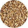 Mushroom Media Online10# Whole Grain Oats view 2