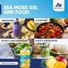 Sea Moss Gel by BioVitalica - Irish sea Moss raw Organic - Premium Quality - Dr Sebi, Vegan superfood for Cells - 100% Natural Seamoss Gel - (Pack of 1, Mango-Pineapple) view 3