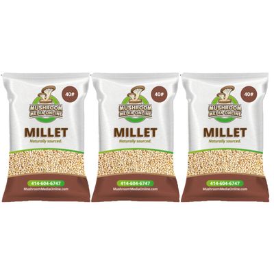 120# Proso Millet Grains