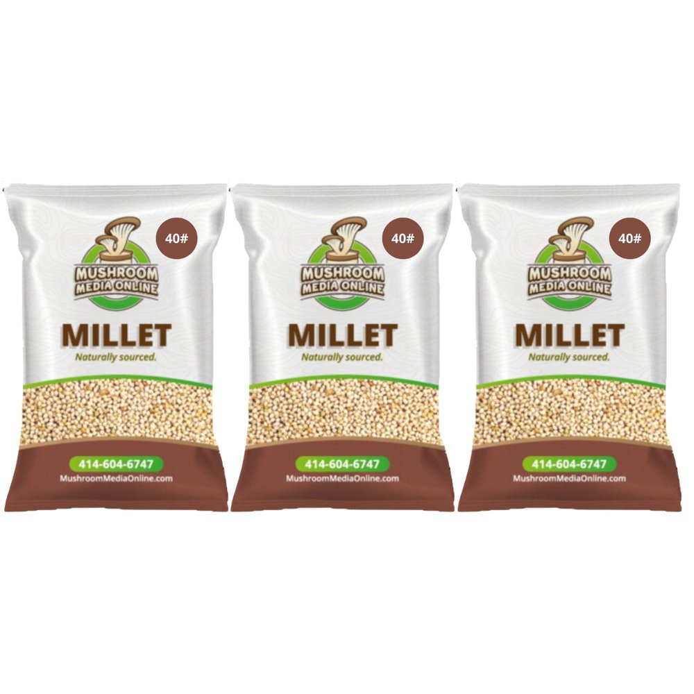 120# Proso Millet Grains