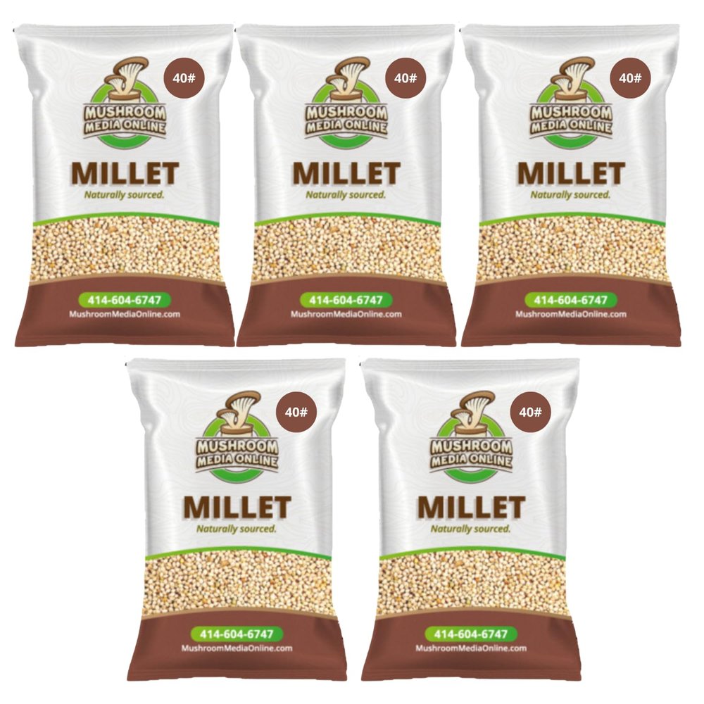200# Proso Millet Grains
