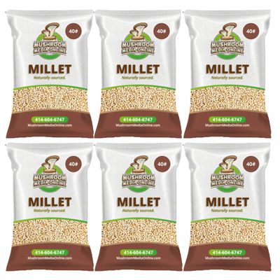 240# Proso Millet Grains