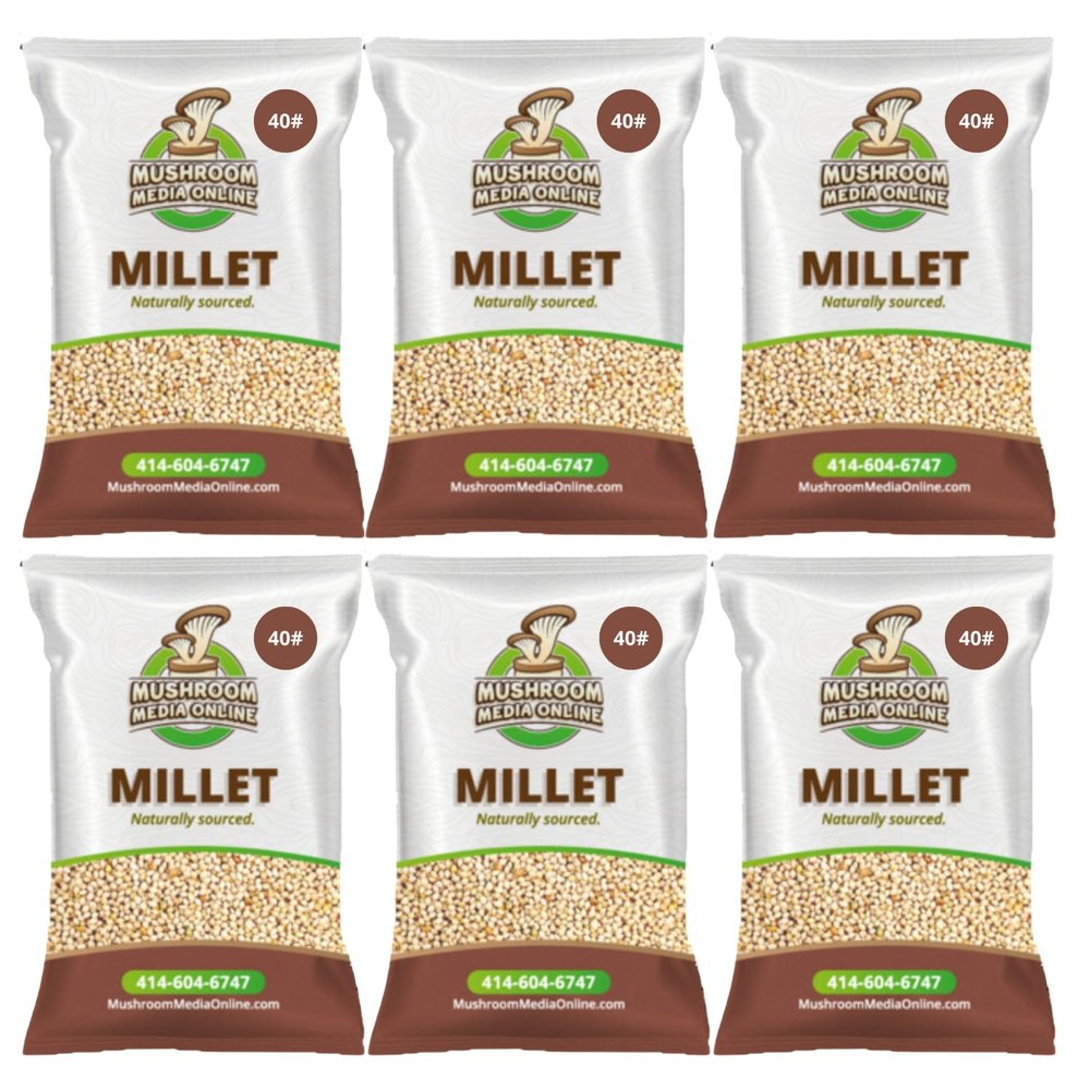 240# Proso Millet Grains