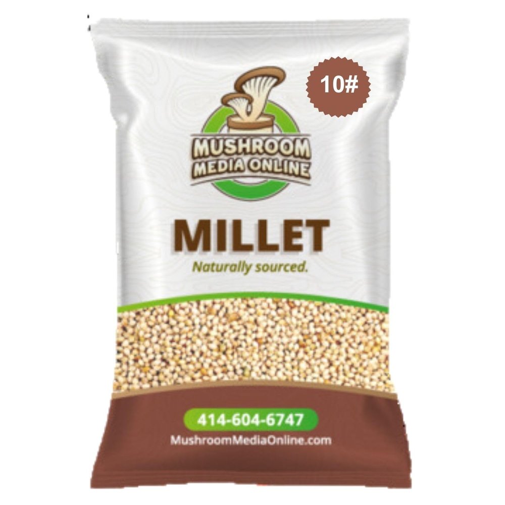 10# Proso Millet Grains