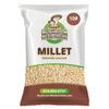 10# Proso Millet Grains view 1