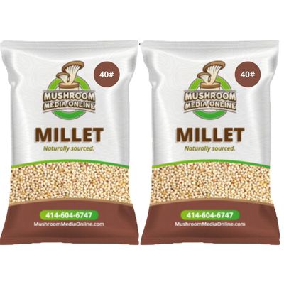 80# Proso Millet Grains