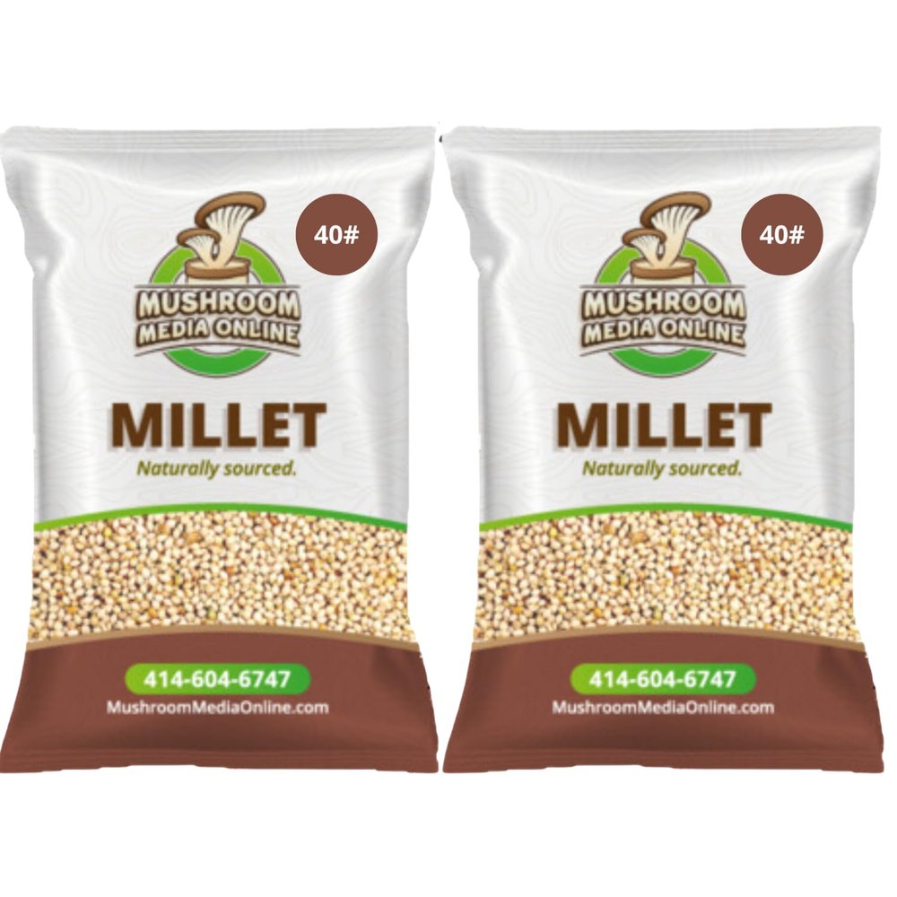 80# Proso Millet Grains