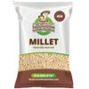 160# Proso Millet Grains view 2