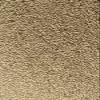 160# Proso Millet Grains view 3
