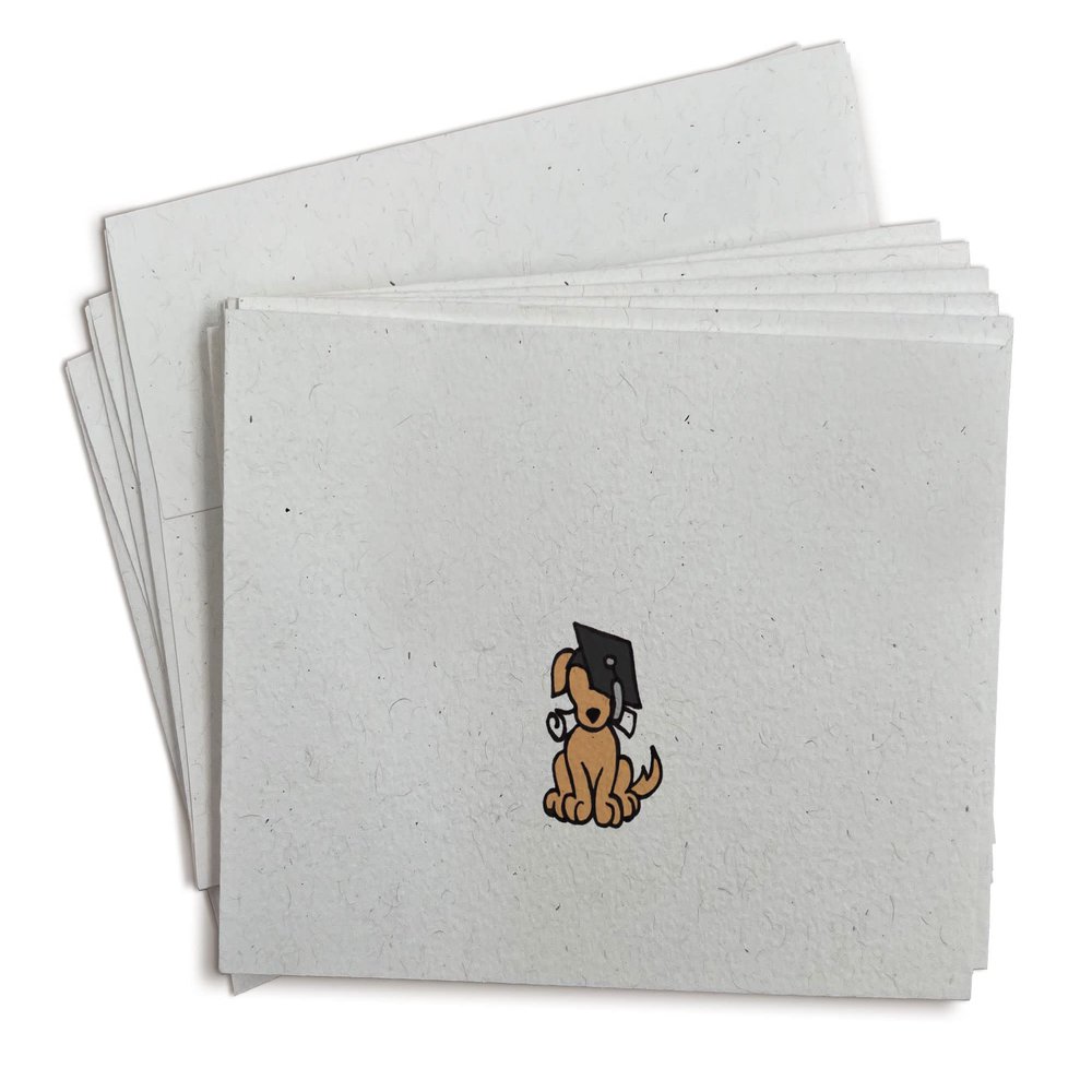 Sugartown Greetings Grad Dog Note Cards - 24 Greeting Cards with Envelopes - Note Cards for Graduation Thank You Cards or Congrats