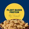 PLANTERS Cashews Rosemary & Sea Salt - Trail Mix Snack Packs - Snack with Rosemary & Sea Salt, Party Trail Mix, 5 Oz Bag, Pack of 1 view 3
