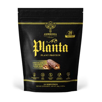 Ambrosia Planta - Premium Plant-Based Protein | Vegan & Keto Friendly | Gourmet Flavors with No Bloating or Stomach Upset | Gluten & Soy Free | No Added Sugar | 14 Servings | (Candy Bar)