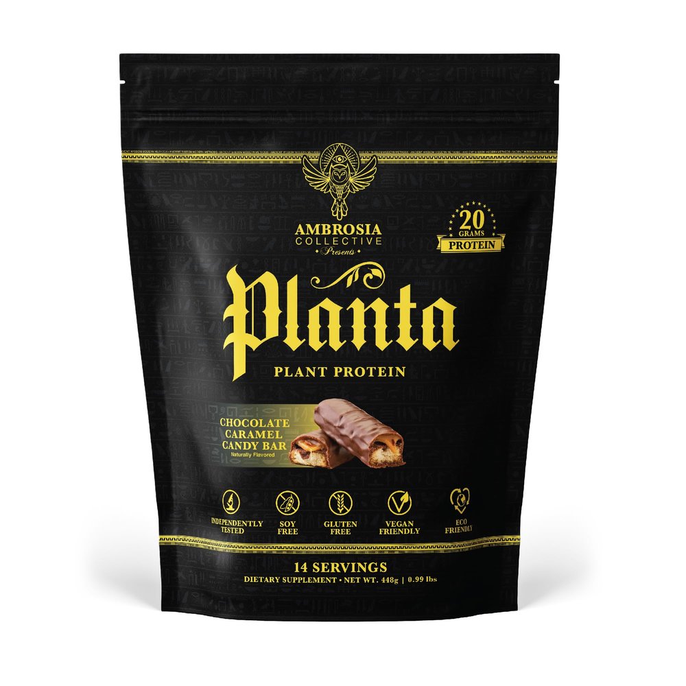 Ambrosia Planta - Premium Plant-Based Protein | Vegan & Keto Friendly | Gourmet Flavors with No Bloating or Stomach Upset | Gluten & Soy Free | No Added Sugar | 14 Servings | (Candy Bar)